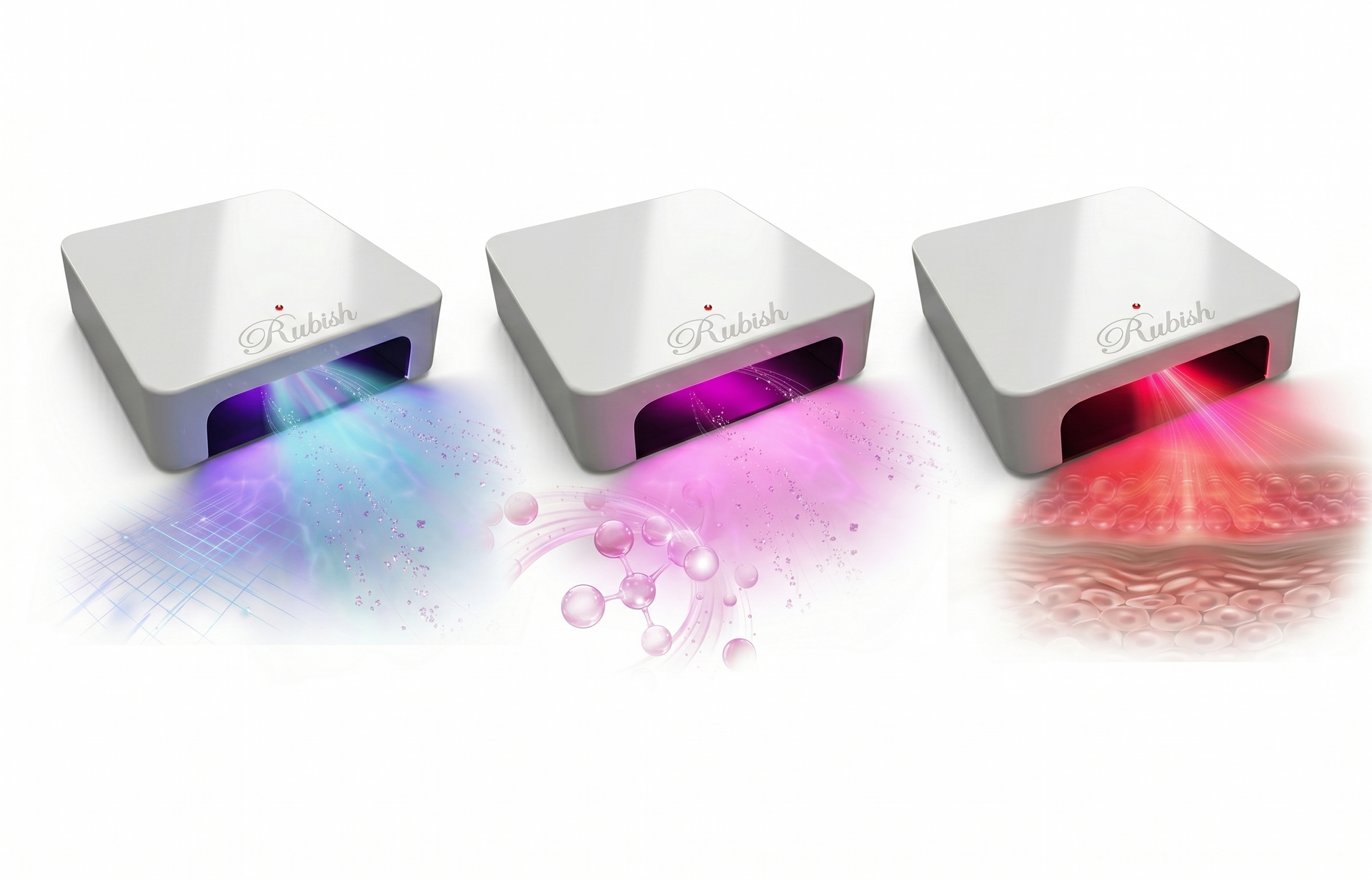 LED Dual Light
